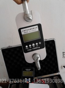 10噸測(cè)力計(jì),10噸測(cè)力計(jì)價(jià)格,10T測(cè)力計(jì)廠家